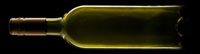greenbottleVR.jpg